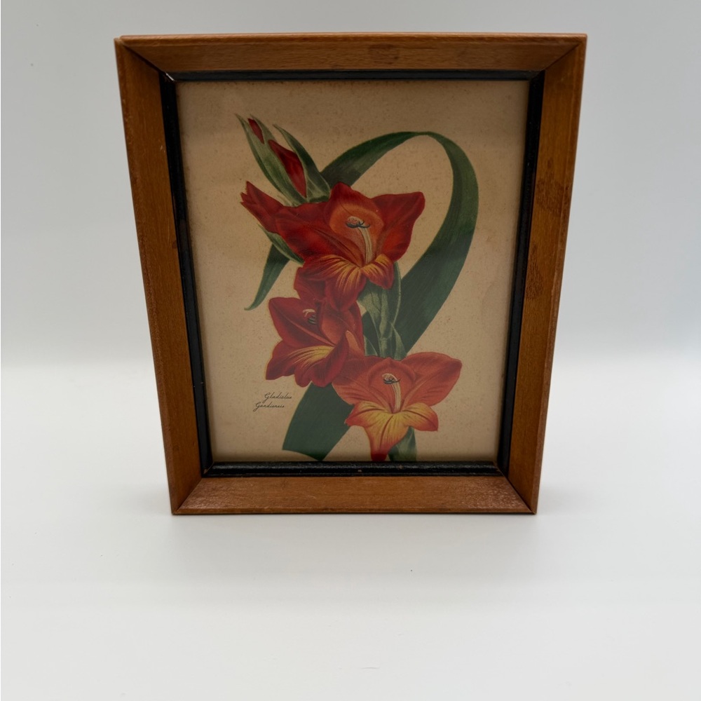 Vintage Floral Framed Art with Red and Green Accents